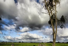 星空体育- 广州队目前谁接手 